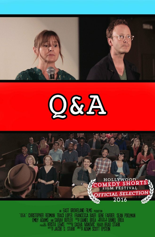 Q & A (2015) постер