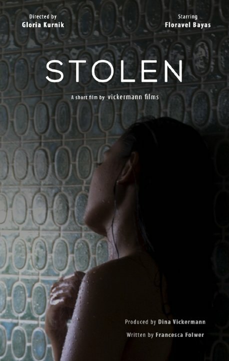 Stolen (2015) постер