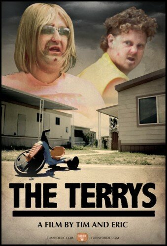 Терри и Терри (2011) постер