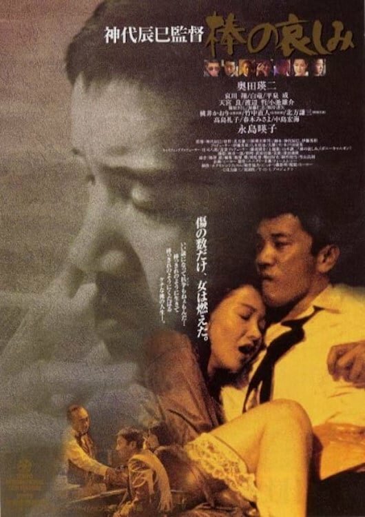 Bô no kanashimi (1994) постер