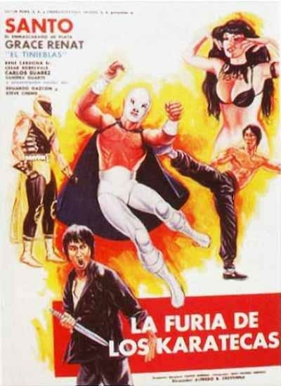 La furia de los karatecas (1982) постер