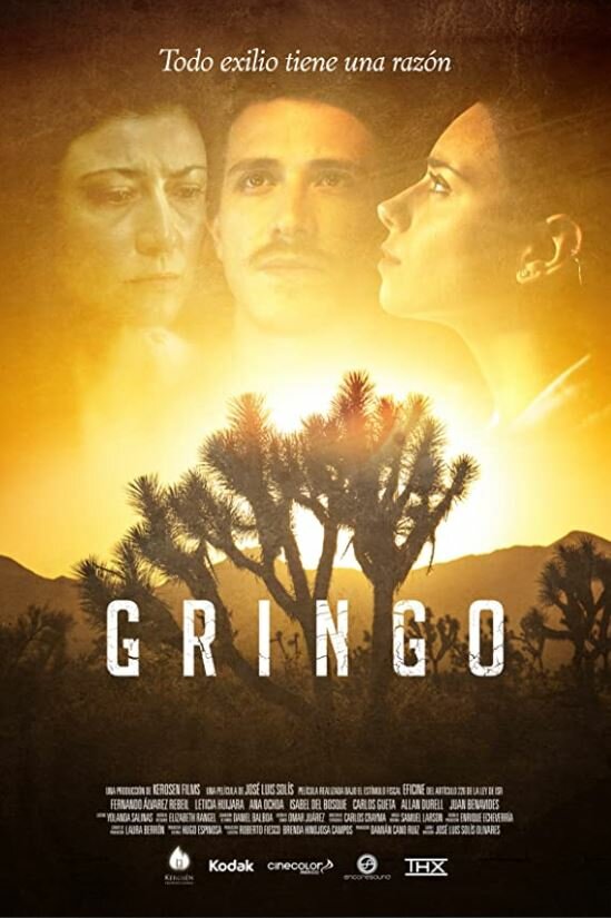 Gringo (2016) постер