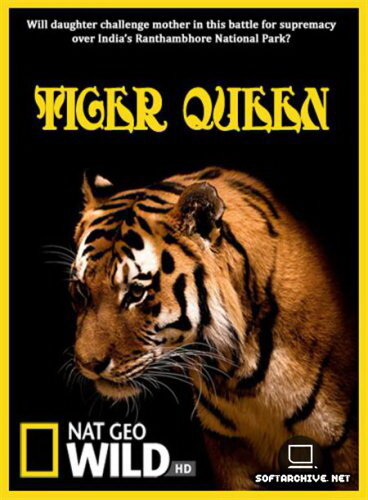 Королева тигров (2010) постер
