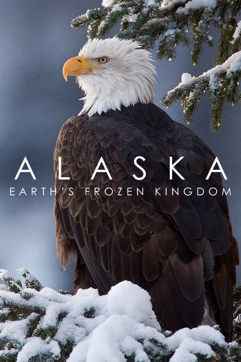Alaska: Earth's Frozen Kingdom (2015) постер