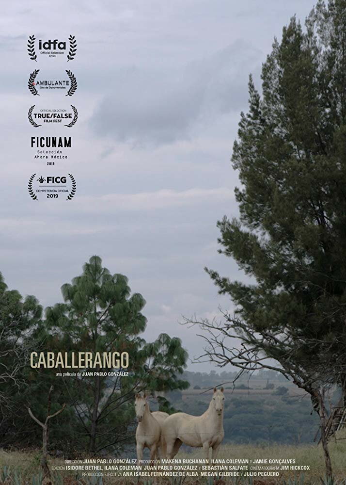 Caballerango (2018) постер