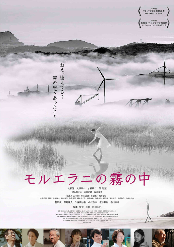 Низины в тумане (2020) постер