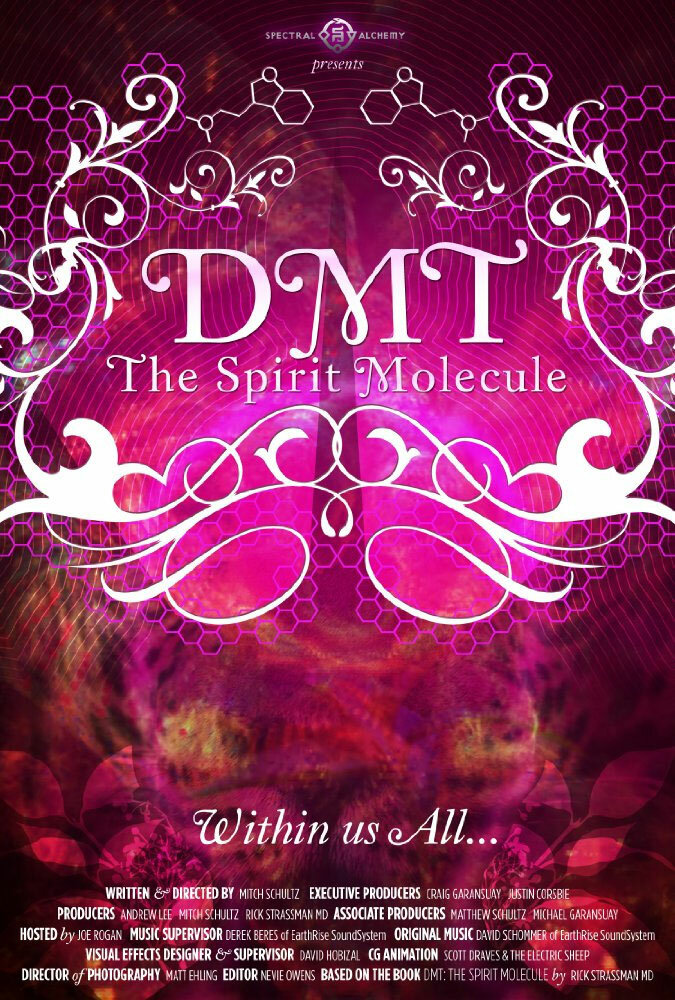 ДМТ: Молекула духа (2010) постер