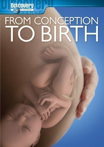 From Conception to Birth (2005) постер