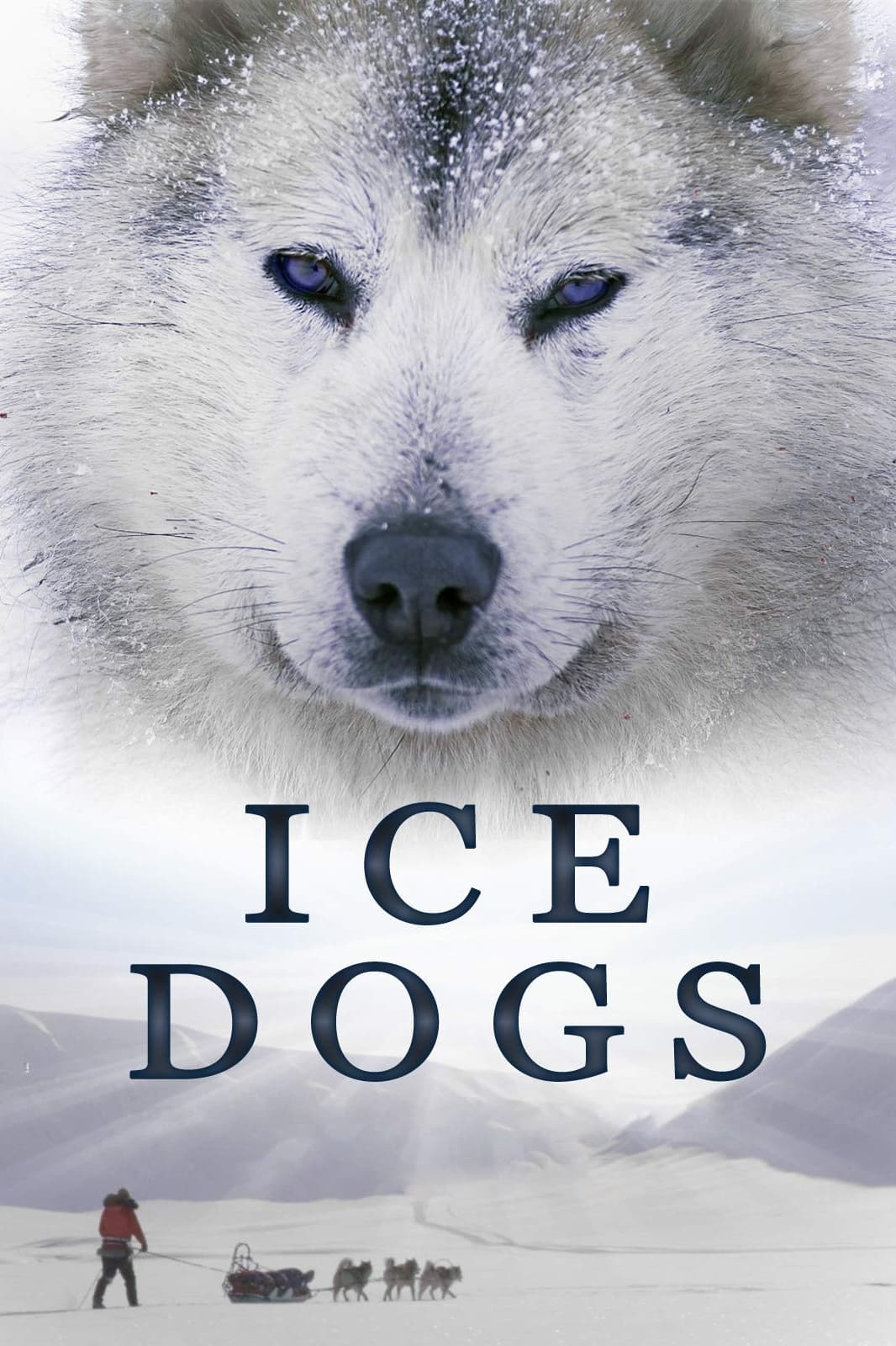 Собаки во льдах (2016) постер