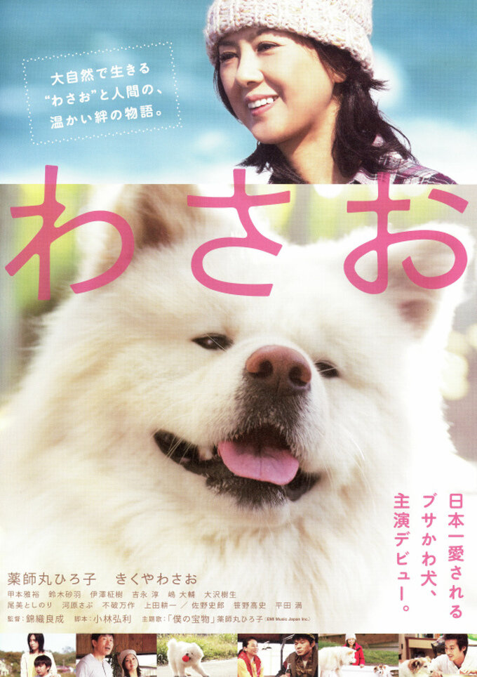Васао (2011) постер