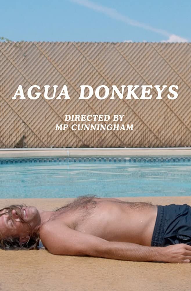 Agua Donkeys (2018) постер
