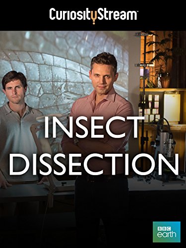 Insect Dissection: How Insects Work (2013) постер