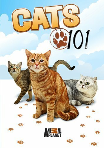 Энциклопедия кошек (2008) постер