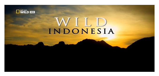 Destination Wild: Indonesia (2015) постер