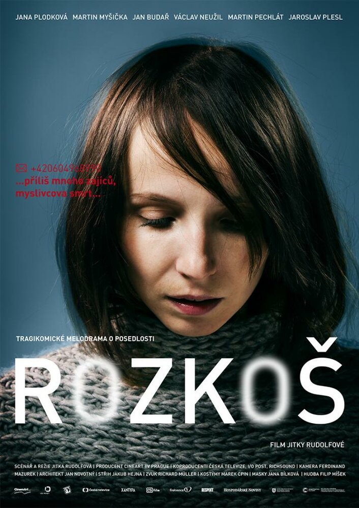 Rozkos (2013) постер