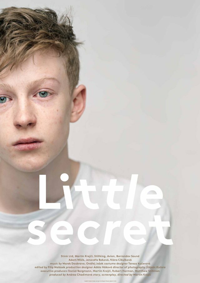 Little Secret (2013) постер