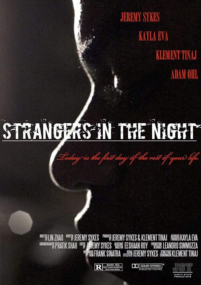 Strangers in the Night (2016) постер