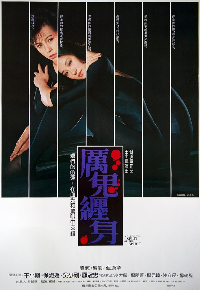 Блуждающая душа (1987) постер