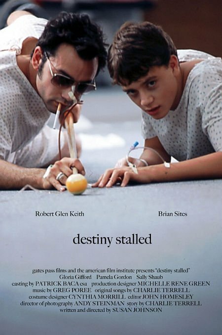 Destiny Stalled (2000) постер