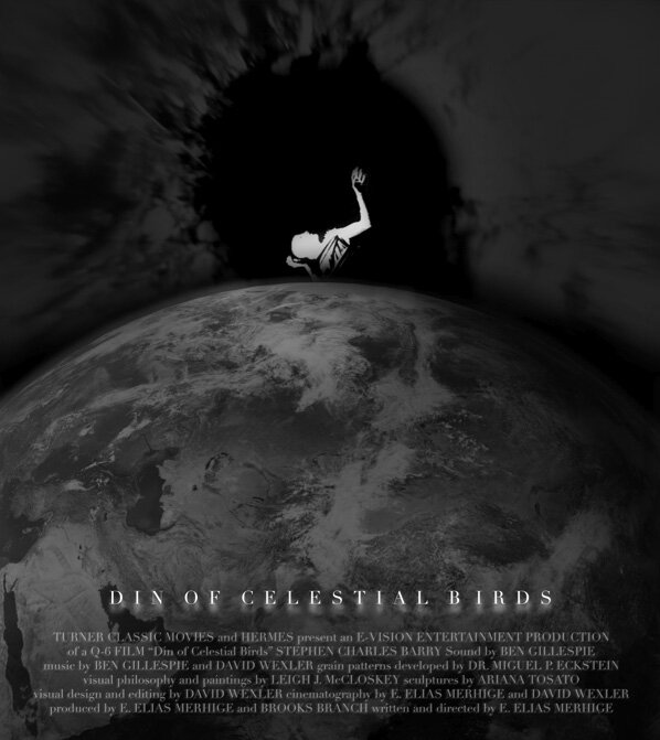 Шум небесных птиц (2006) постер
