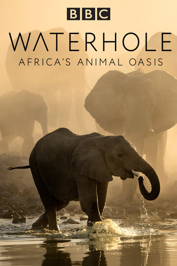 Waterhole: Africa's Animal Oasis (2020)